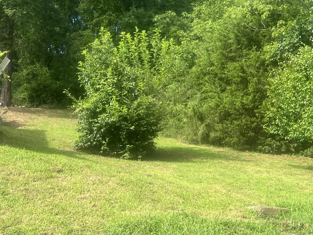 Reliable lawn care service for residential properties in Charleston, WV by Jake’s Home Services