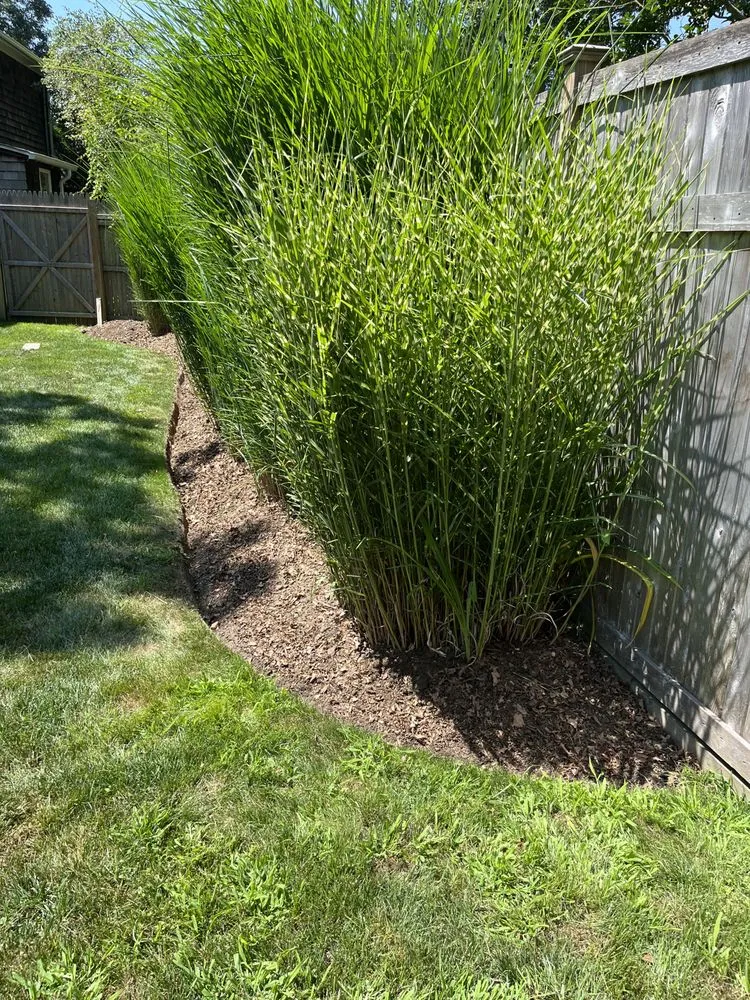 Professional yard maintenance in Hampton Bays, NY - Jake’s irrigation landscaping &Maintenance