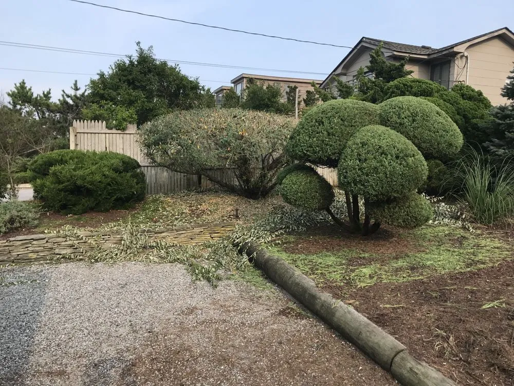 Top-rated landscape installation in Hampton Bays, NY by Jake’s irrigation landscaping &Maintenance