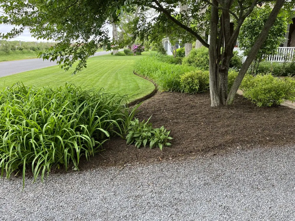 Local yard cleanup service for homes in Hampton Bays, NY by Jake’s irrigation landscaping &Maintenance