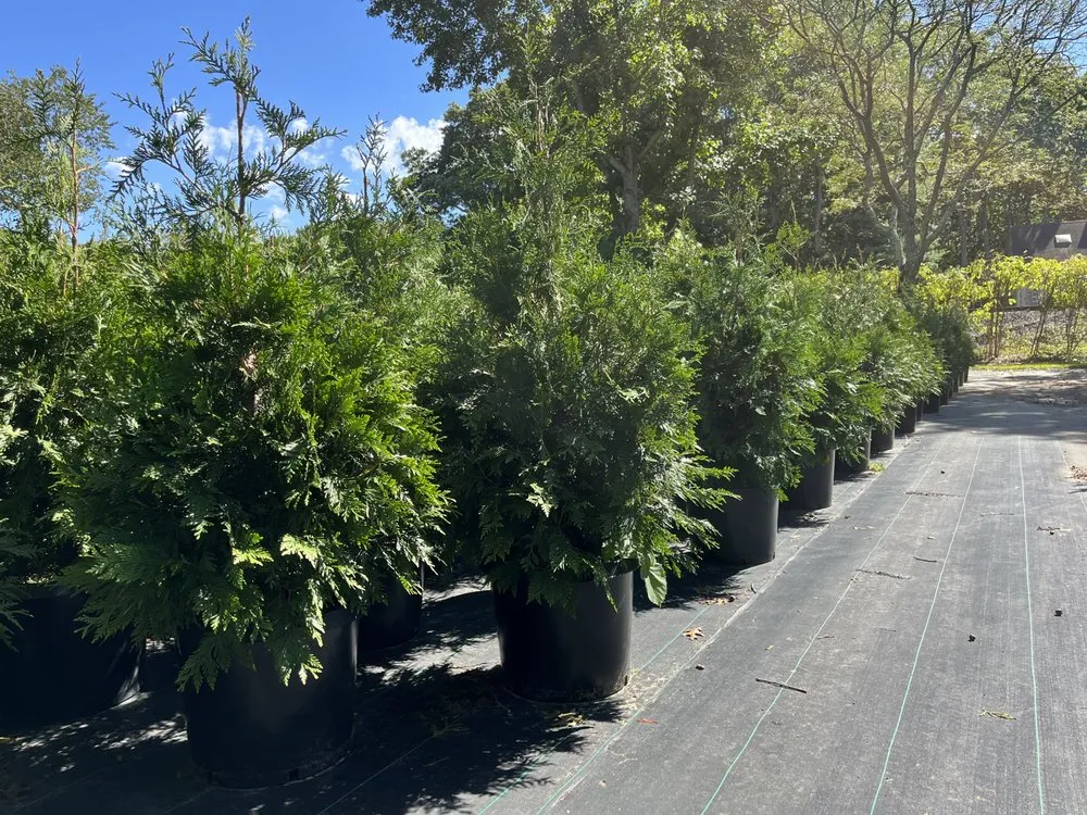 Trusted landscaping services for homes across Hampton Bays, NY - Jake’s irrigation landscaping &Maintenance