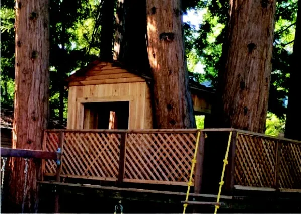 Trusted landscaping services experts serving Redwood City, CA - Jake's Landscape & Tree Services