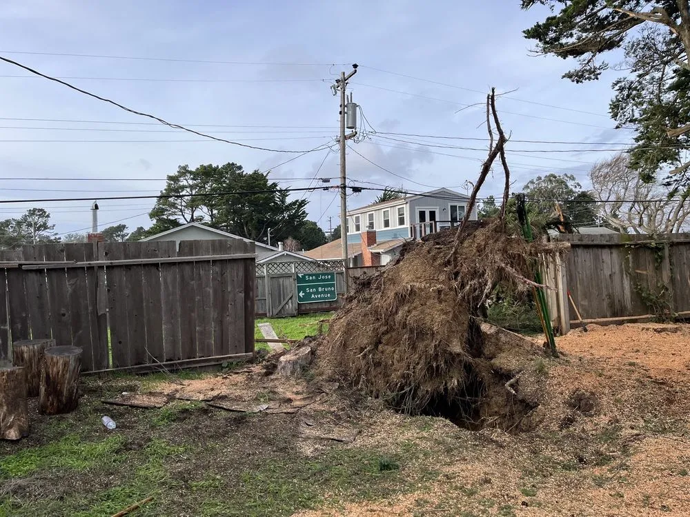 Trusted landscaping services near you in Redwood City, CA by Jake's Landscape & Tree Services