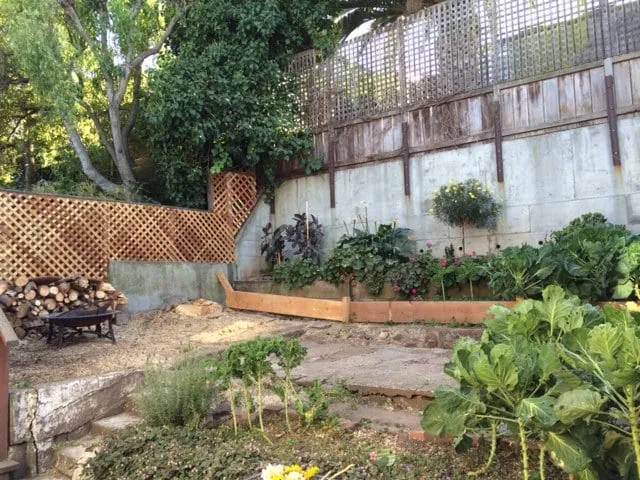 Expert lawn care service for residential properties in Redwood City, CA by Jake's Landscape & Tree Services