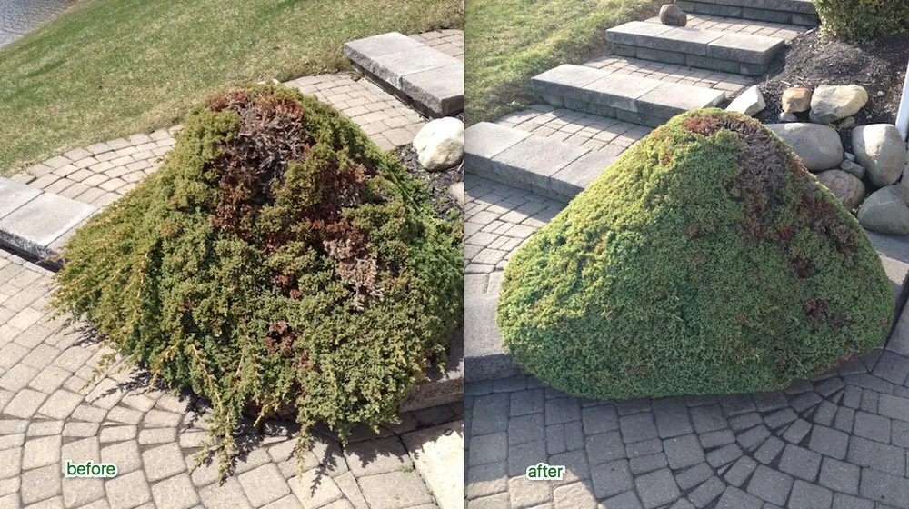 Custom garden landscaping for residential properties across Parma, OH - Jake's Landscapes