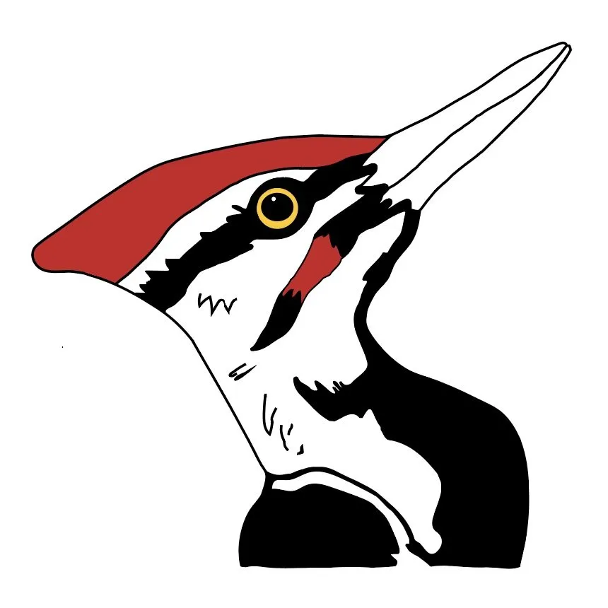 Professional yard maintenance for outdoor upgrades across Parma, OH - Jake's Landscapes