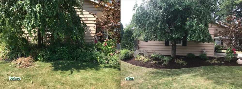 Expert yard cleanup service in Parma, OH by Jake's Landscapes