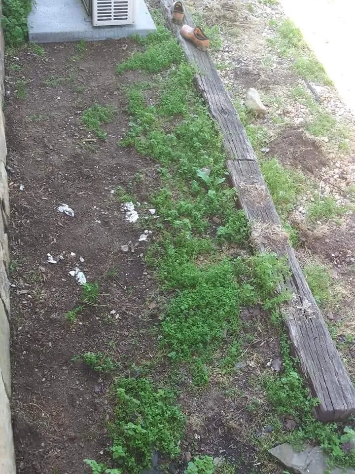 Trusted landscaping services for residential properties in Athens, TN by Jake's Landscaping