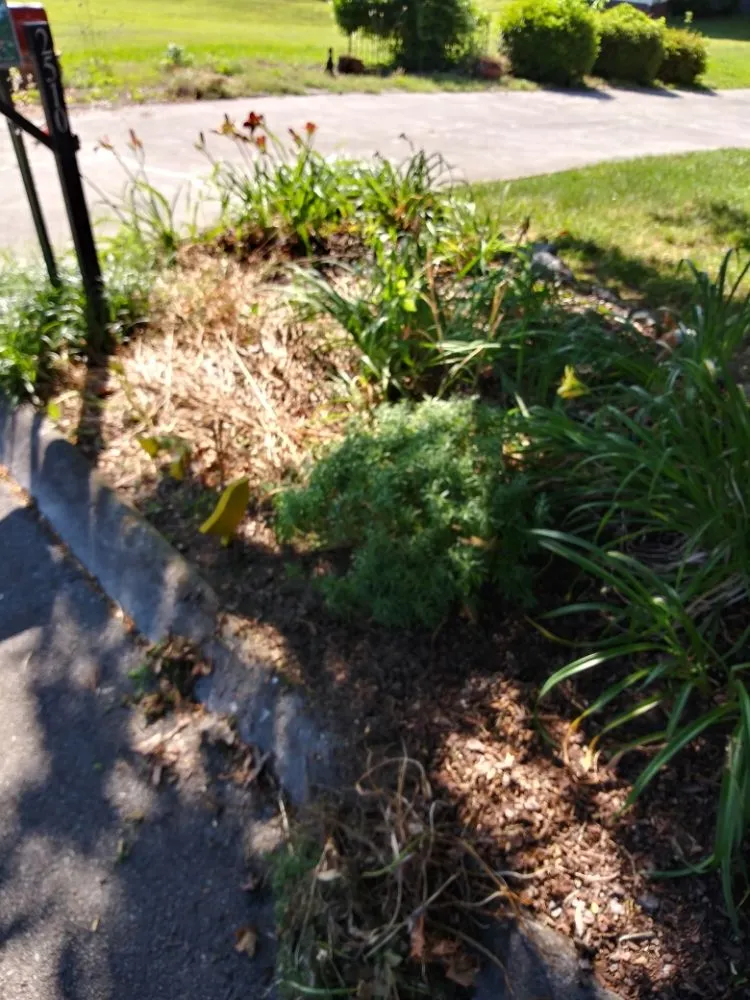 Trusted landscape installation in Athens, TN by Jake's Landscaping