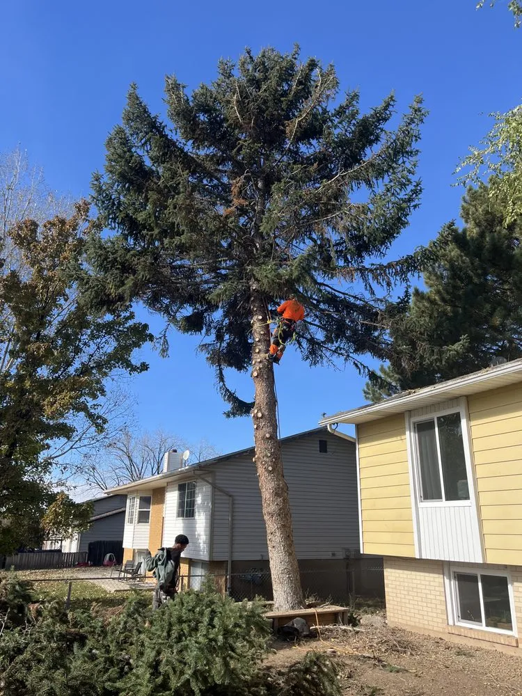 Reliable landscaping services in Ogden, UT by Jake’s Landscaping