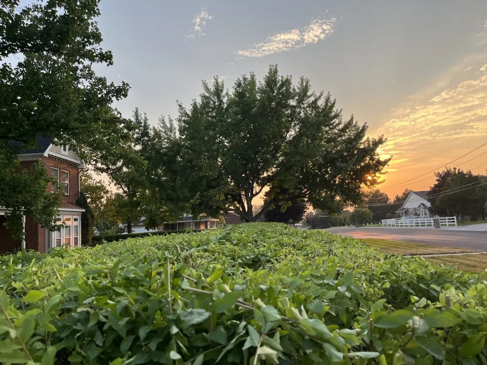 Reliable landscaping services for homes in Ogden, UT by Jake’s Landscaping