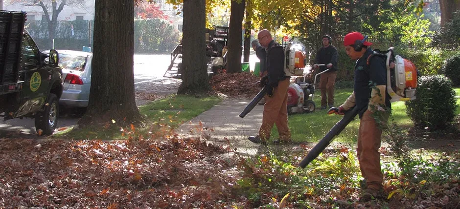 Local yard maintenance in North Haven, CT - Jake's Lawn & Garden Service