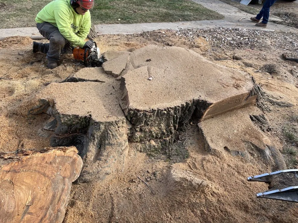 Affordable yard maintenance in Granville, IL by Jake's Lawn & Tree Service