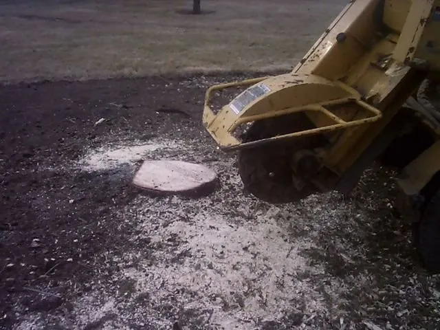 Reliable residential landscaping with custom design across Granville, IL - Jake's Lawn & Tree Service