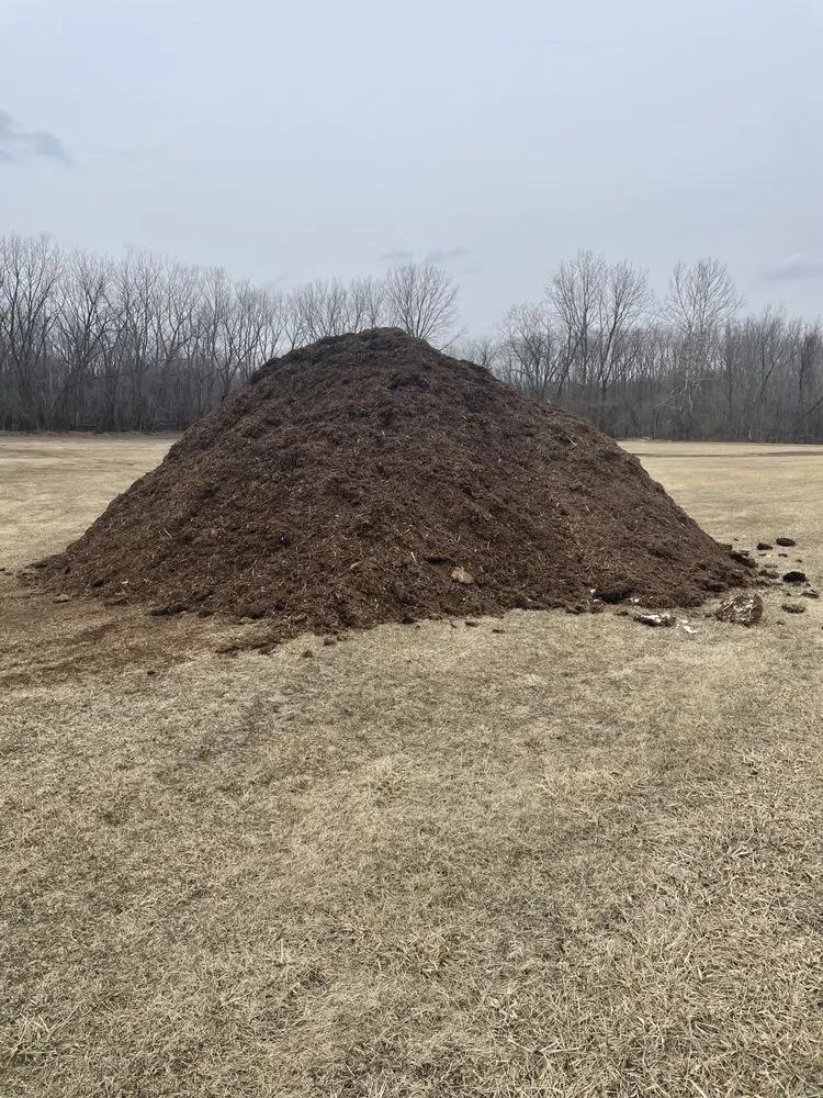 Professional yard maintenance in Granville, IL - Jake's Lawn & Tree Service