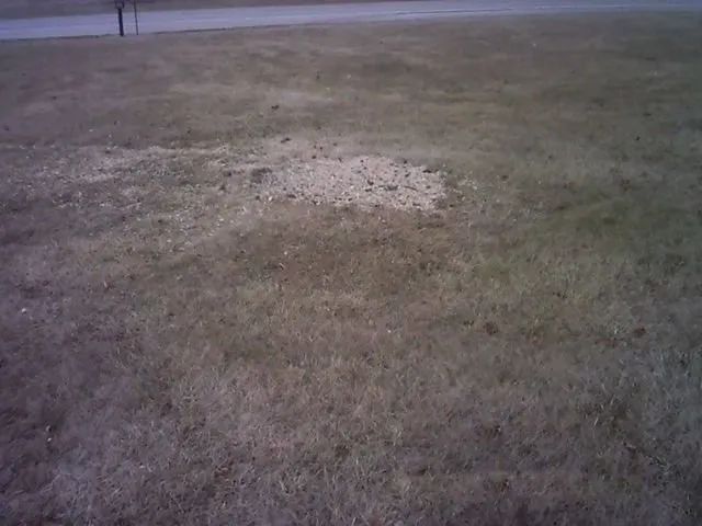 Affordable residential landscaping in Granville, IL by Jake's Lawn & Tree Service