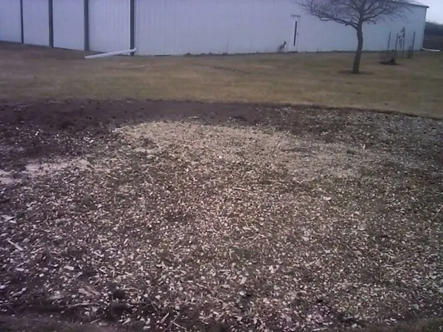 Trusted yard maintenance experts serving Granville, IL - Jake's Lawn & Tree Service