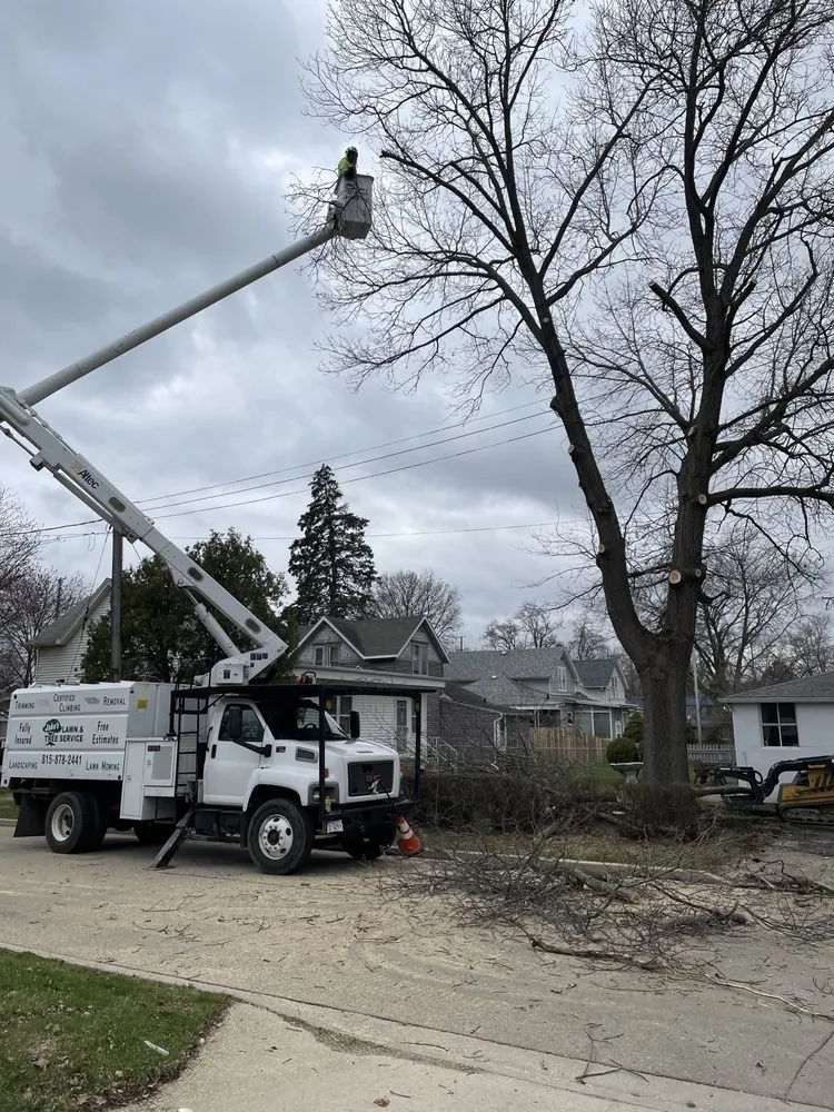 Local residential landscaping for homes in Granville, IL by Jake's Lawn & Tree Service