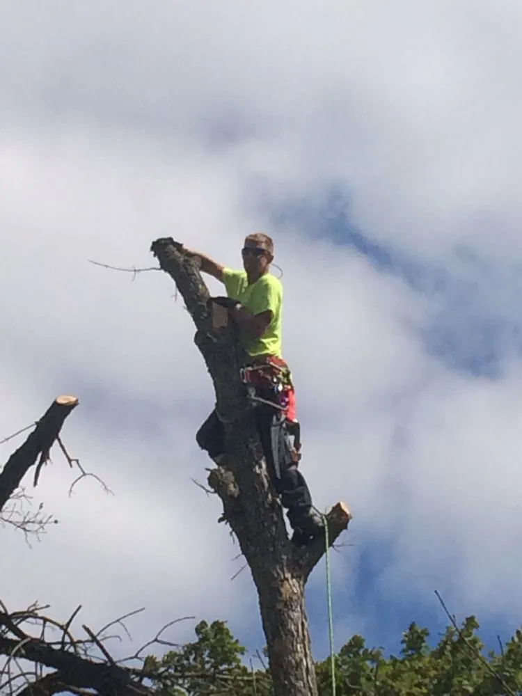 Affordable yard cleanup service in Granville, IL by Jake's Lawn & Tree Service