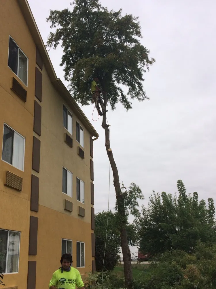 Top-rated garden landscaping in Granville, IL - Jake's Lawn & Tree Service