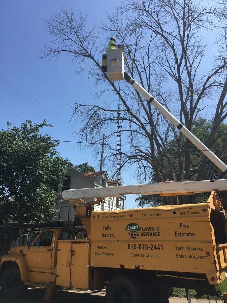 Trusted yard maintenance with custom design in Granville, IL by Jake's Lawn & Tree Service