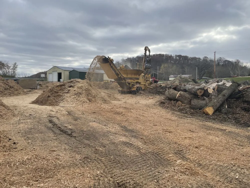 Trusted yard maintenance in Granville, IL - Jake's Lawn & Tree Service