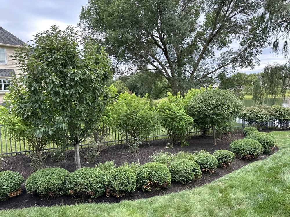 Affordable yard maintenance in Whitestown, IN by Jake's Lawn and Handyman Services