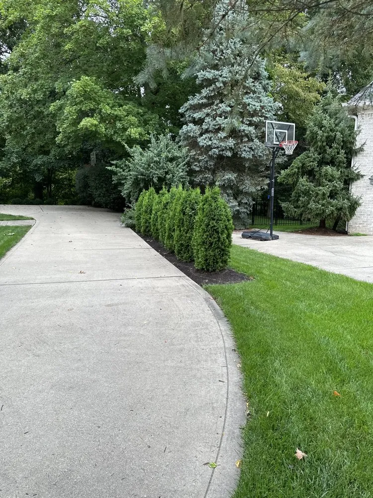 Local landscaping services in Whitestown, IN by Jake's Lawn and Handyman Services