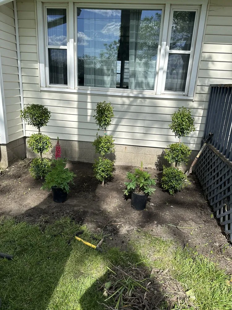 Reliable yard cleanup service for outdoor upgrades across Whitestown, IN - Jake's Lawn and Handyman Services