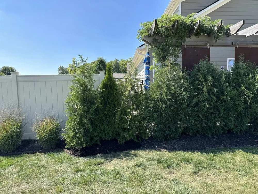 Reliable yard cleanup service with custom design across Whitestown, IN - Jake's Lawn and Handyman Services