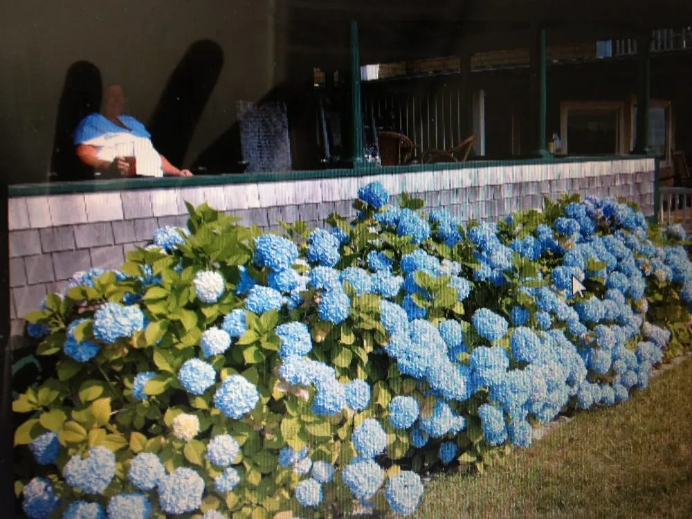 Expert garden landscaping in Braintree Ma, MA by Jake's Lawn Care