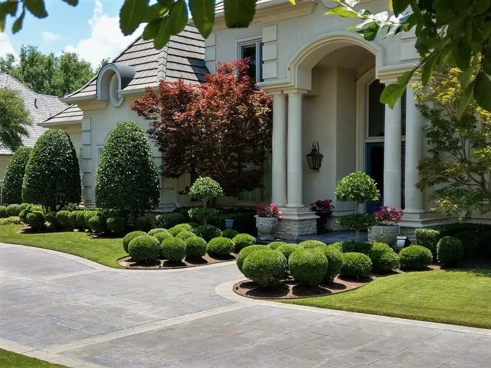Trusted yard cleanup service in Fort Worth, TX - Jake's Lawn Care