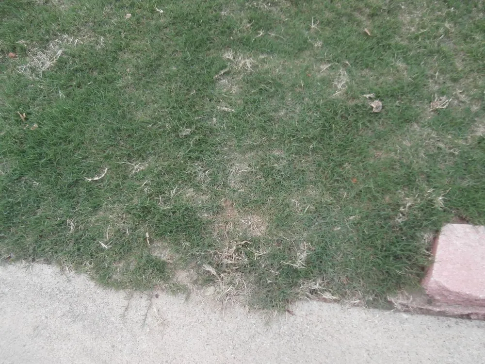 Trusted lawn care service in Fort Worth, TX by Jake's Lawn Care