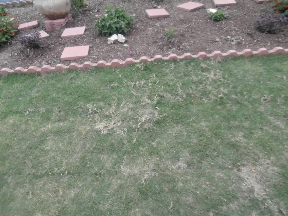 Expert landscape installation near you in Fort Worth, TX by Jake's Lawn Care