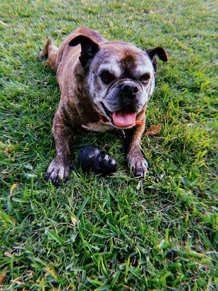 Reliable residential landscaping with custom design across Fort Worth, TX - Jake's Lawn Care