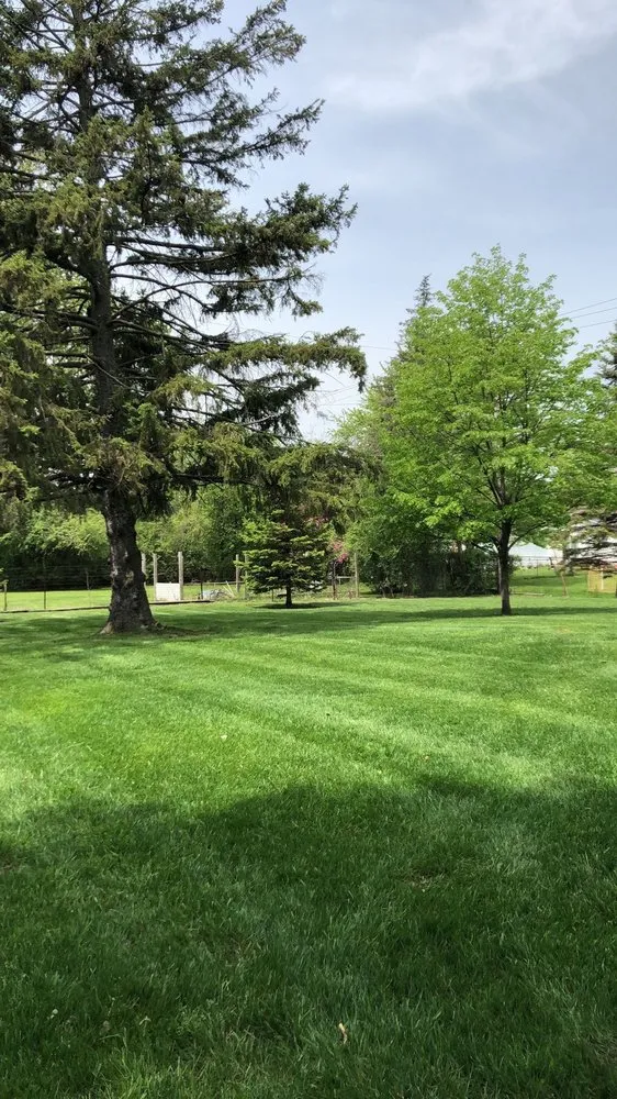 Custom landscape installation experts serving Garden City, MI - Jake’s Lawn Maintenance