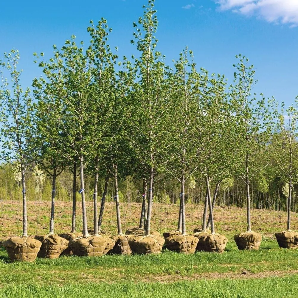 Trusted landscaping services in Granville, OH by Jakes Property Services