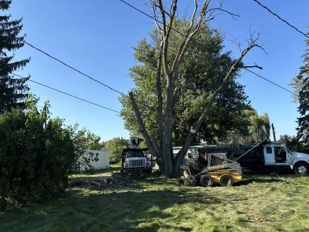 Custom landscape installation experts serving Lake Station, IN - Jakes Removal Services