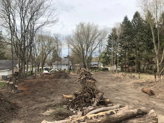 Jakes Removal Services