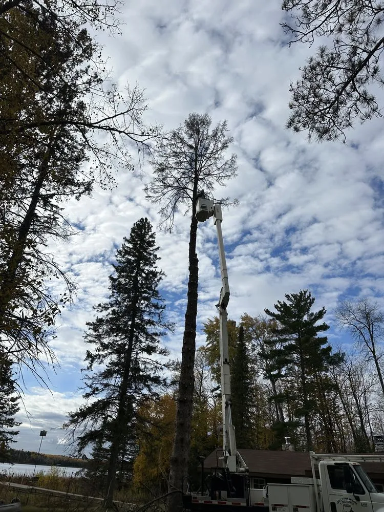 Top-rated landscape installation experts serving Bemidji, MN - Jake’s Stump Grinding