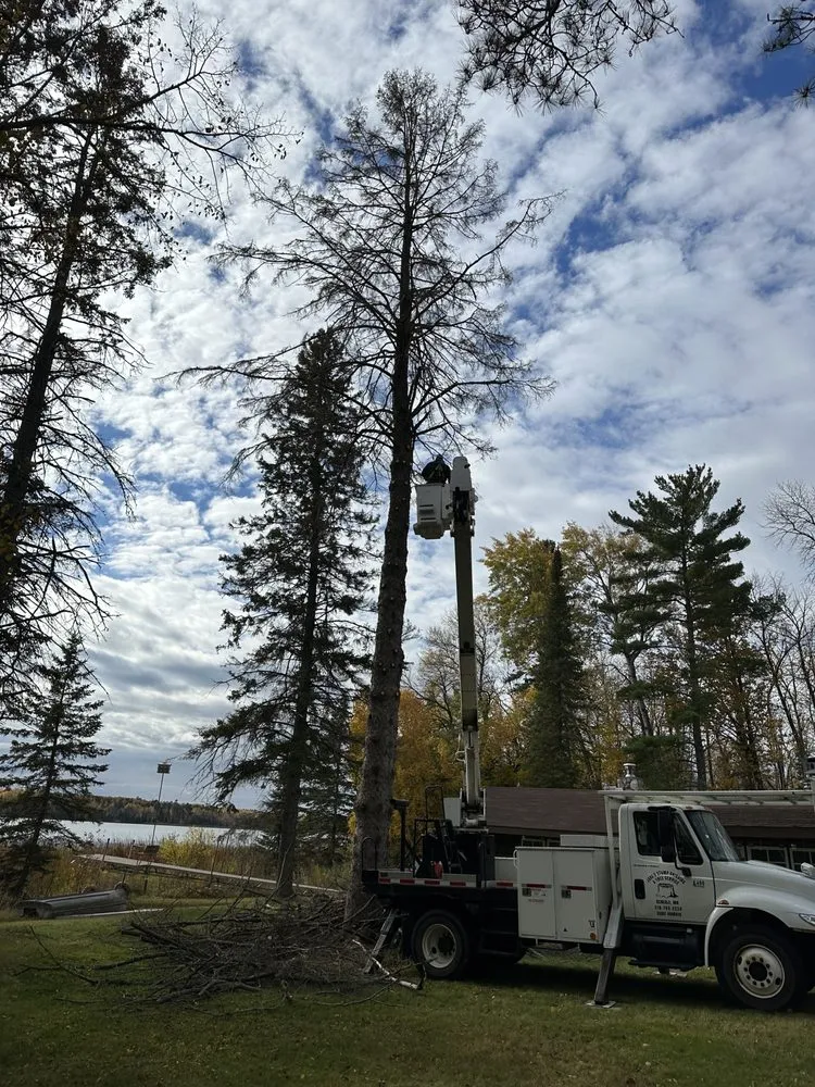 Reliable residential landscaping experts serving Bemidji, MN - Jake’s Stump Grinding