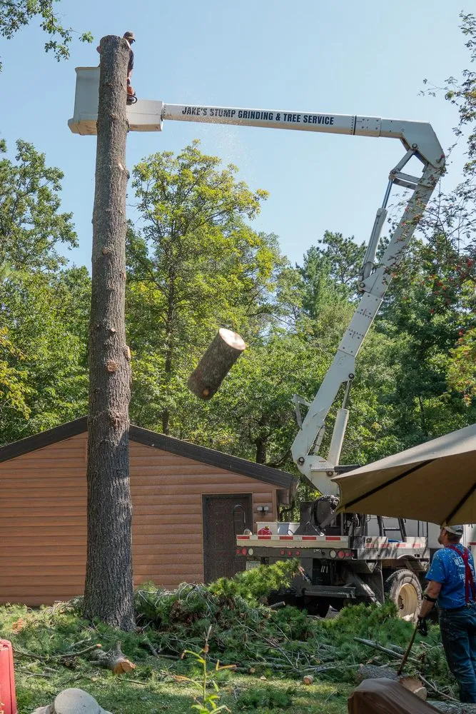 Professional landscaping services experts serving Bemidji, MN - Jake’s Stump Grinding