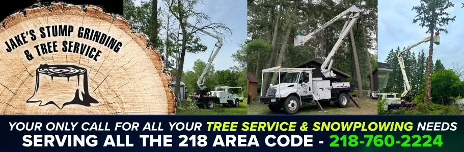 Reliable lawn mowing service for outdoor upgrades in Bemidji, MN by Jake’s Stump Grinding