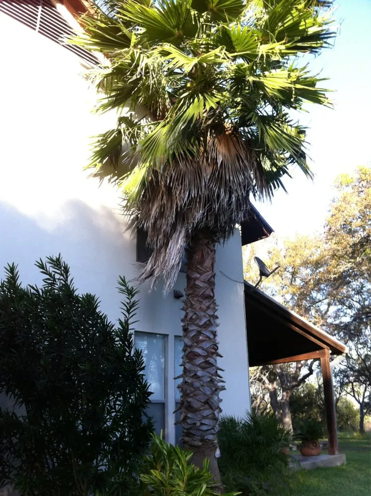 Trusted landscape design experts serving Kyle, TX - Jake's Superior Lawn & Landscape