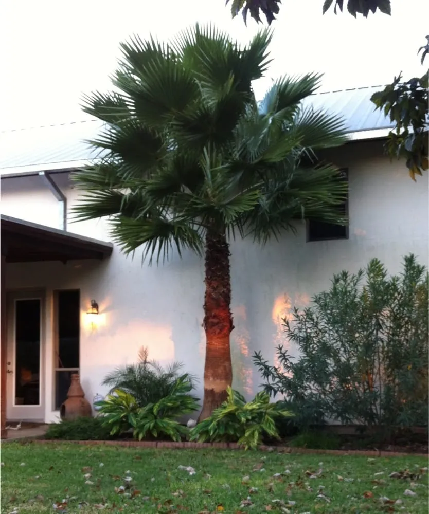 Trusted outdoor landscaping in Kyle, TX by Jake's Superior Lawn & Landscape