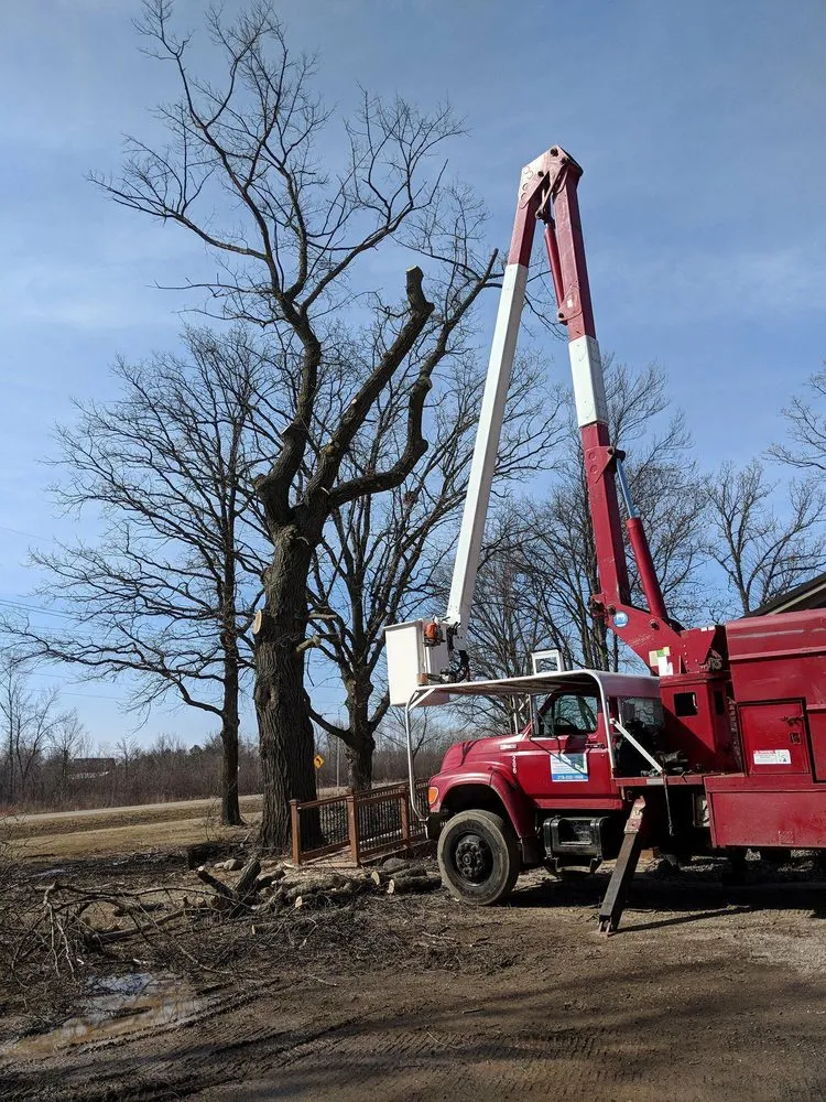 Top-rated landscape design in Princeton, MN by Jake's Top Notch Tree Service