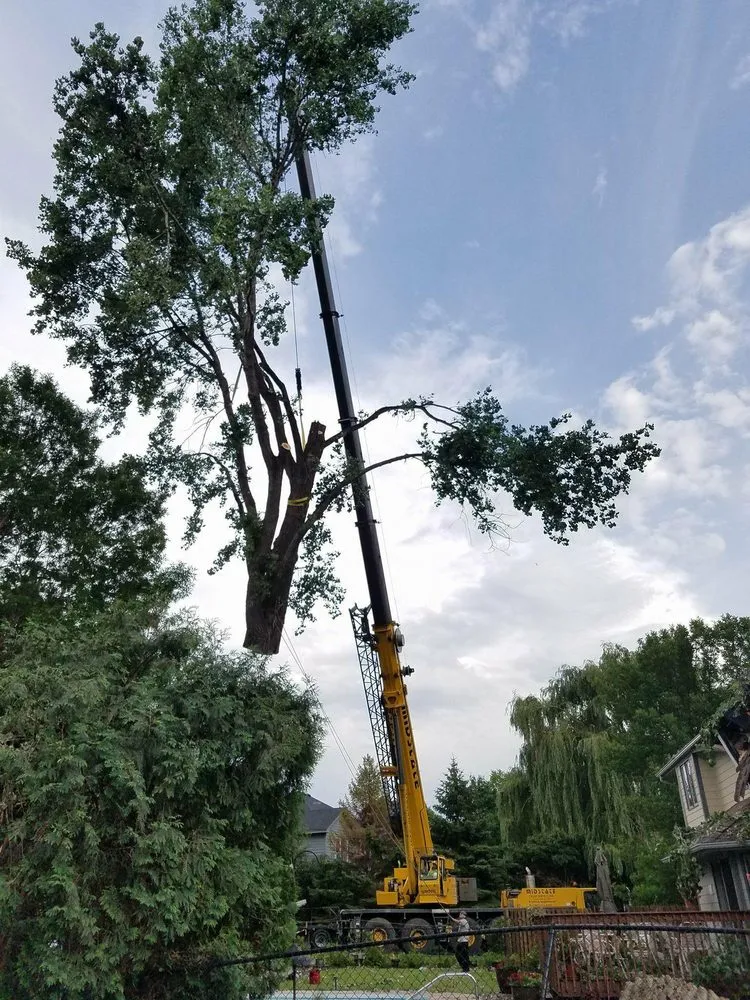 Trusted yard maintenance for homes across Princeton, MN - Jake's Top Notch Tree Service