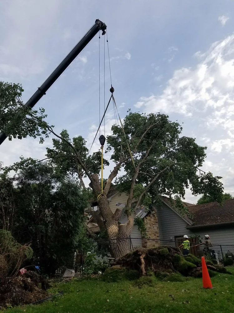 Expert outdoor landscaping experts serving Princeton, MN - Jake's Top Notch Tree Service