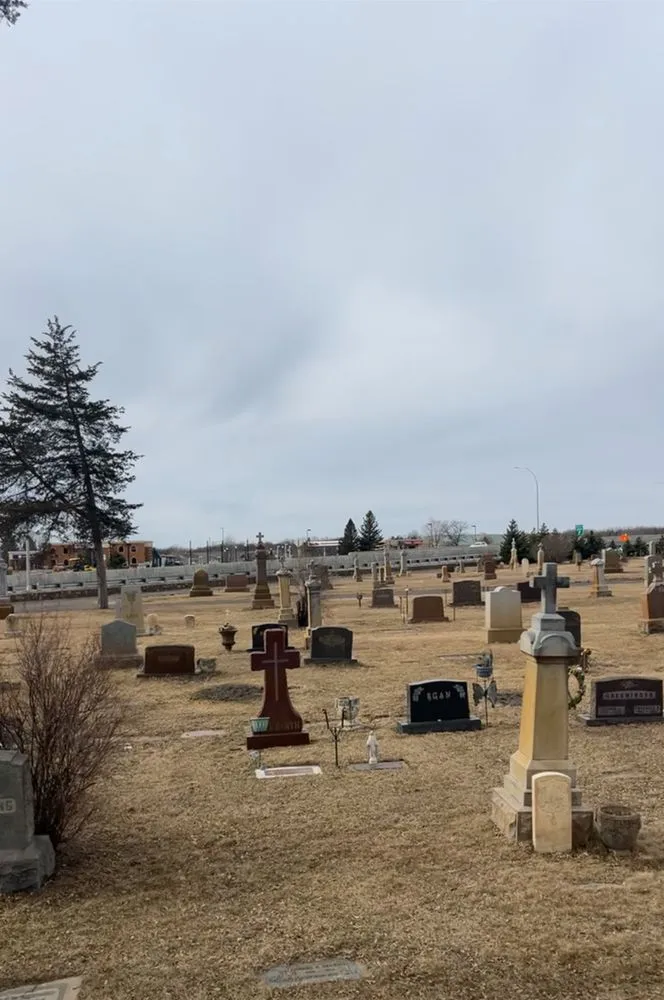 Reliable landscape installation for beautiful yards in Princeton, MN by Jake's Top Notch Tree Service