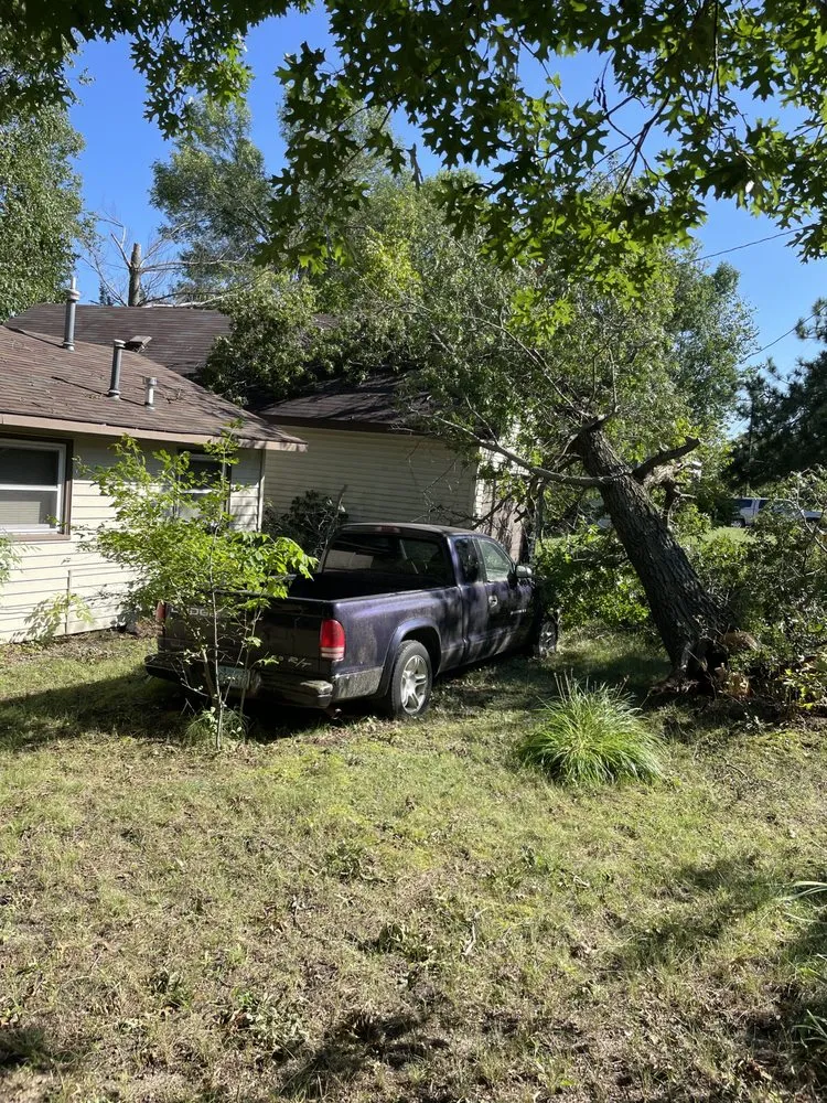 Professional residential landscaping in Princeton, MN by Jake's Top Notch Tree Service